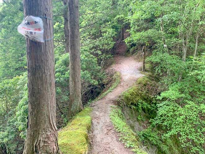 痩せ尾根の先に標識が見えます