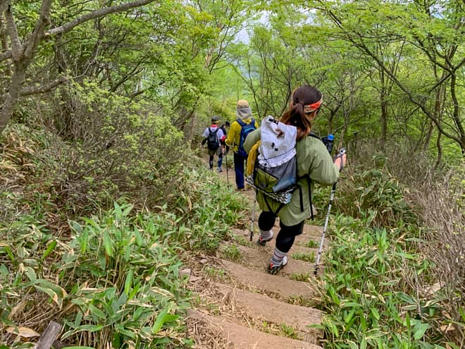登りの岩だらけの登山道とは違い
