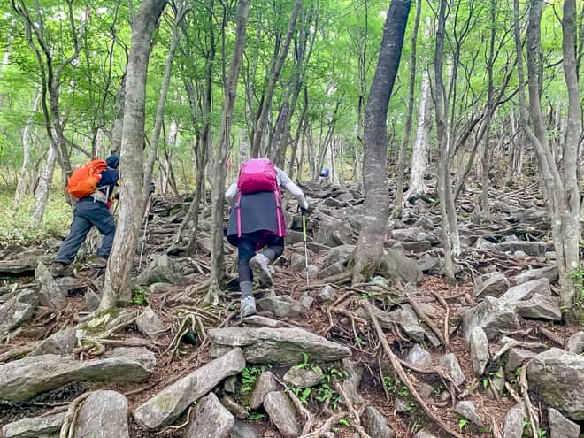 登山のレベルアップのトレーニングに最適