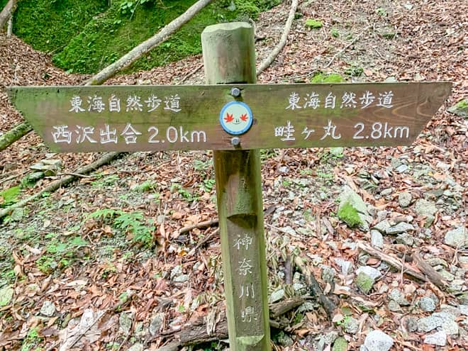 登山道がわかり辛い枯沢を抜けると案内板が見えてきます