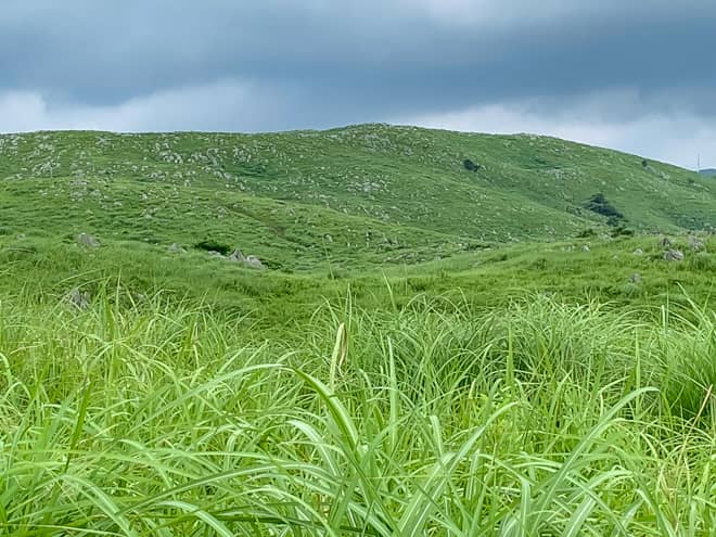 秋吉台はどの場所からも絶景ですが