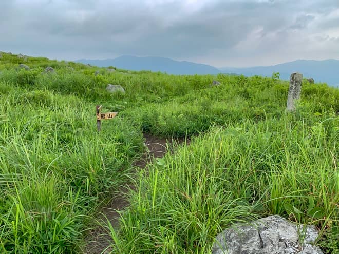 細い整備されていない獣道を進むと分岐点に到着
