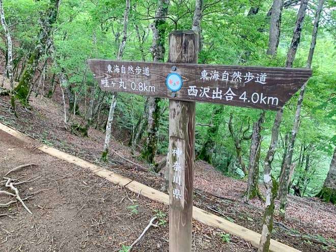 絶景のトンネルに心を奪われながら散策しているうちに