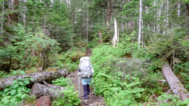 蝶ヶ岳の登山道
