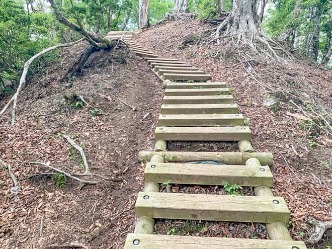 覚悟を決めて梯子に登ると