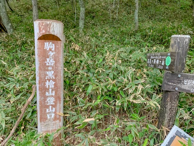 逆に駒ヶ岳登山口からビストン（往復）は