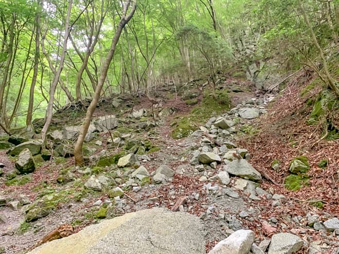 道迷いしやすい