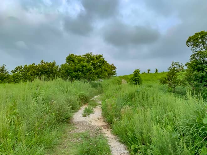 長者ヶ森→良悟の松