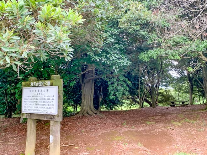 長者ヶ森駐車場には長者ヶ森を人工的に作った「人口の森」