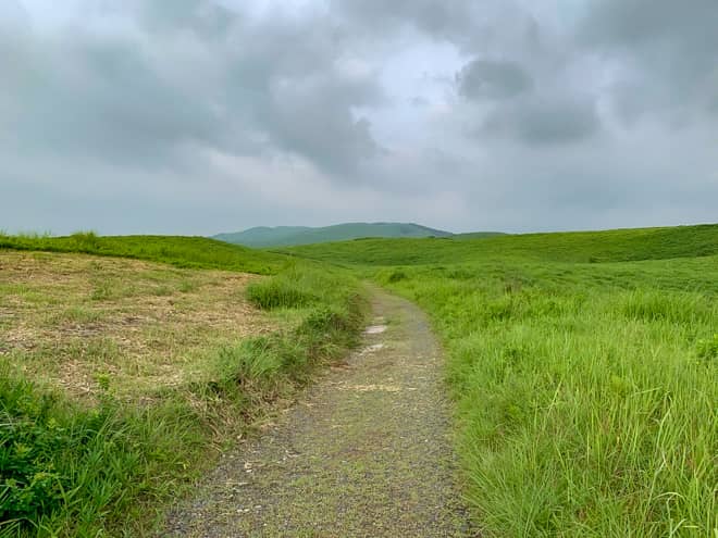 難易度に合わせて様々なコースが用意されている