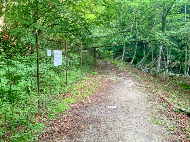 鹿よけの柵が見えてくると下棚沢出合はすぐです。