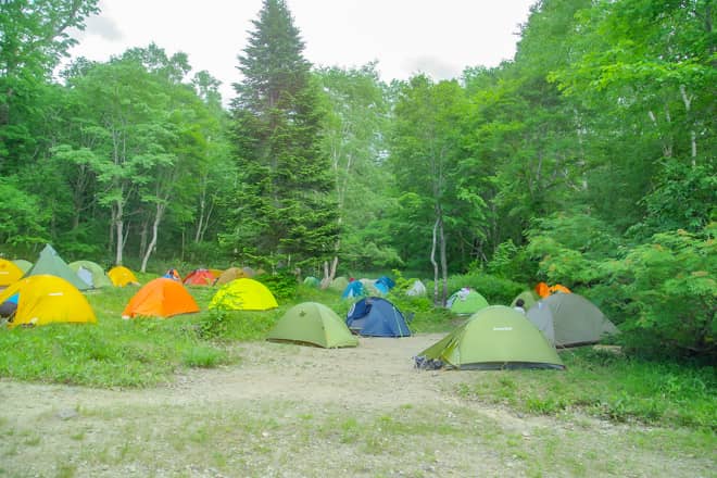 100張程度可能な予約不要のフリーサイト