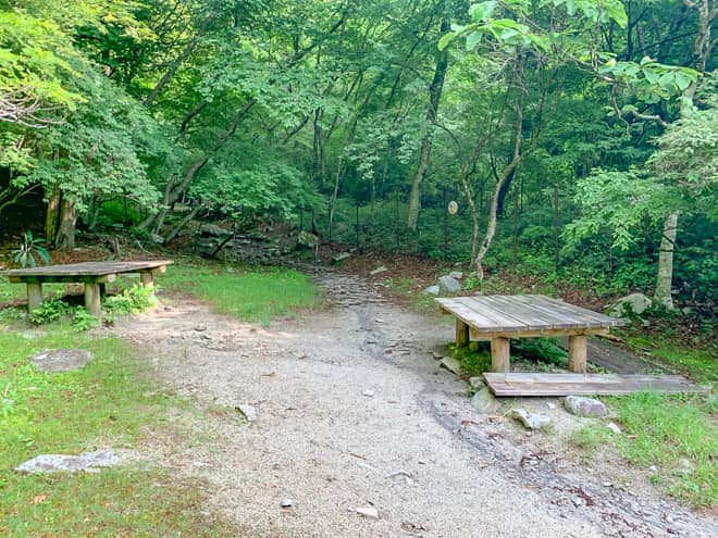 4つ目の堰を超えるとテントを張れそうな整地された広場とベンチがあります