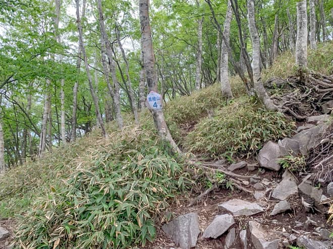 4番の標識が見えてきました