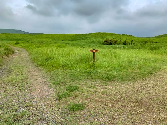 Y字に分岐している地点では右の「良悟松」へ進みます