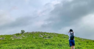【山口県】日本最大のカルスト台地「秋吉台」を歩こう！人気の長者ヶ森コースをトレッキング