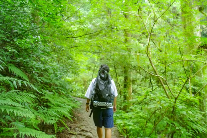 あらゆるシーンでも使い勝手が良い、軽さと機能性を両立したULザック