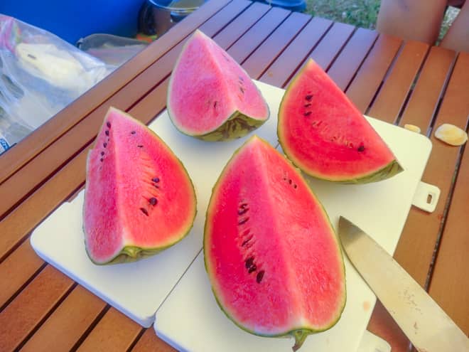 スイカ