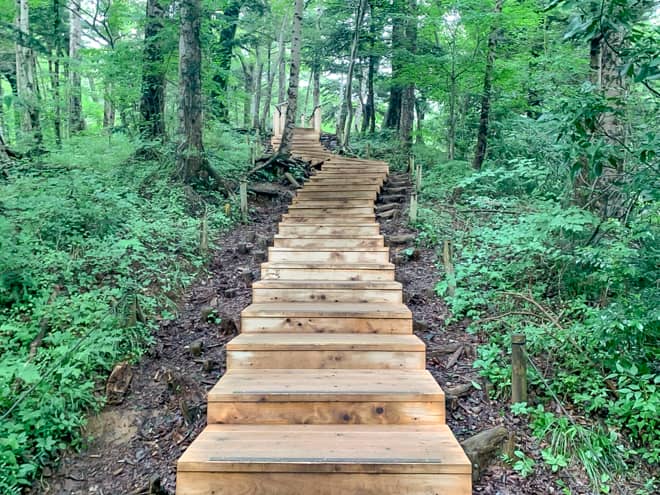 リニューアル前の階段は