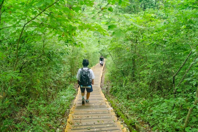 世界一登山客が多い理由も納得！誰もが楽しめるリピートしたくなる山