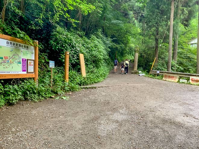 今日は6号路コースから山頂を目指し