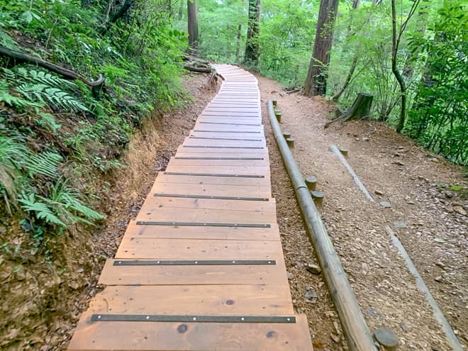 前半は大変整備された木道や階段を進みます