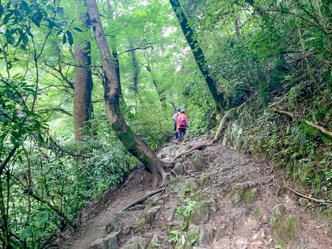場所によっては道幅が狭く