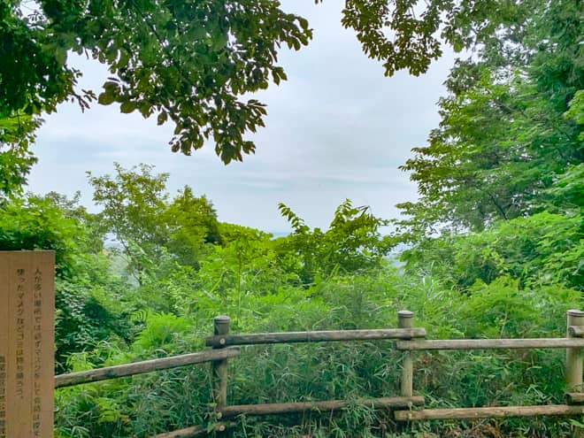 展望台からは関東平野