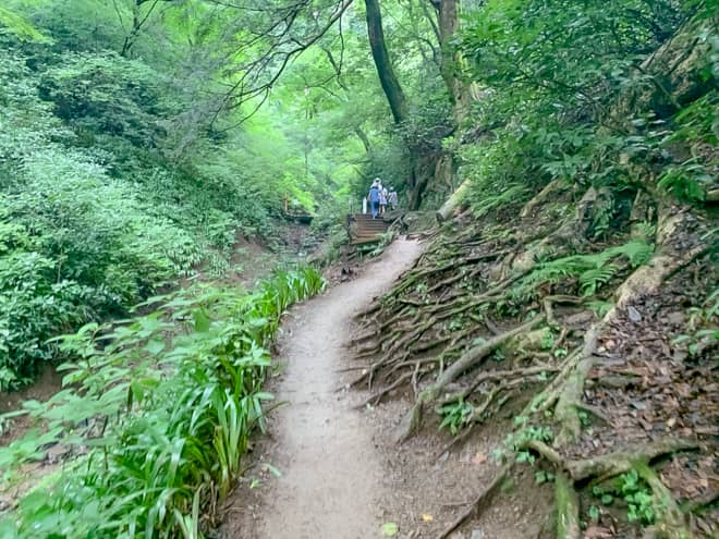 岩場の登山道が無くなり