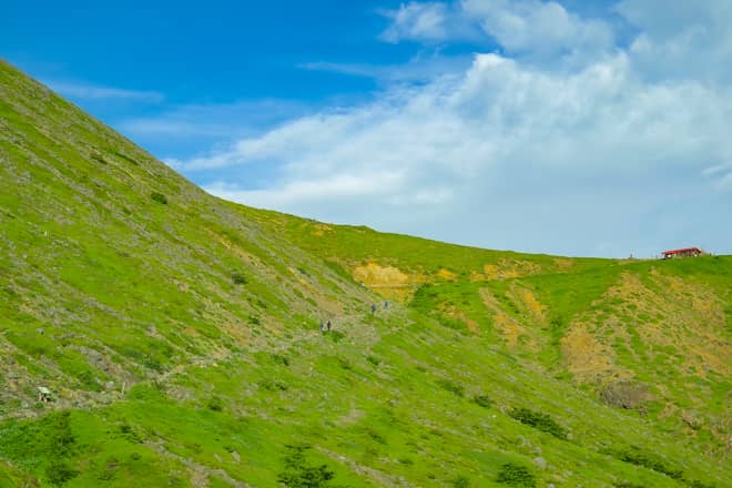 峰の茶屋跡避難小屋まで (2)
