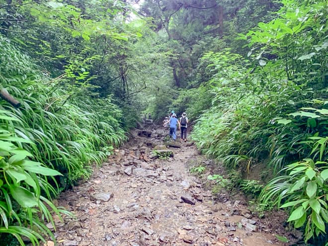 川の中を濡れずに歩くことが出来る