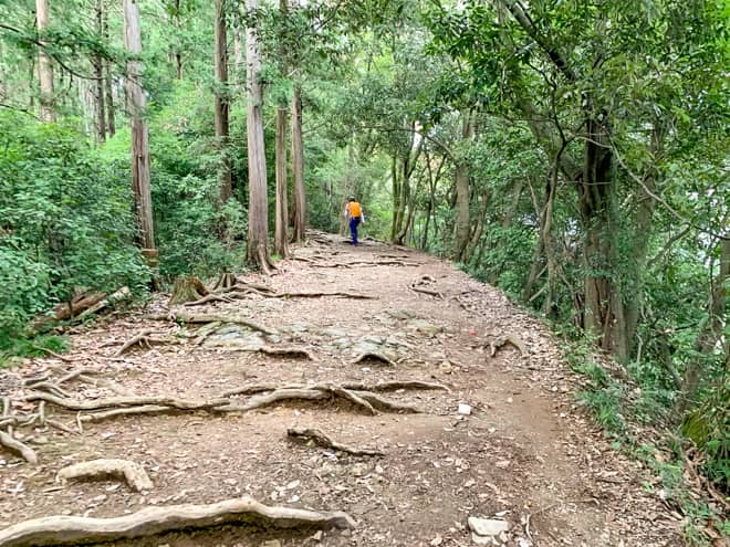 後半は傾斜がきつい