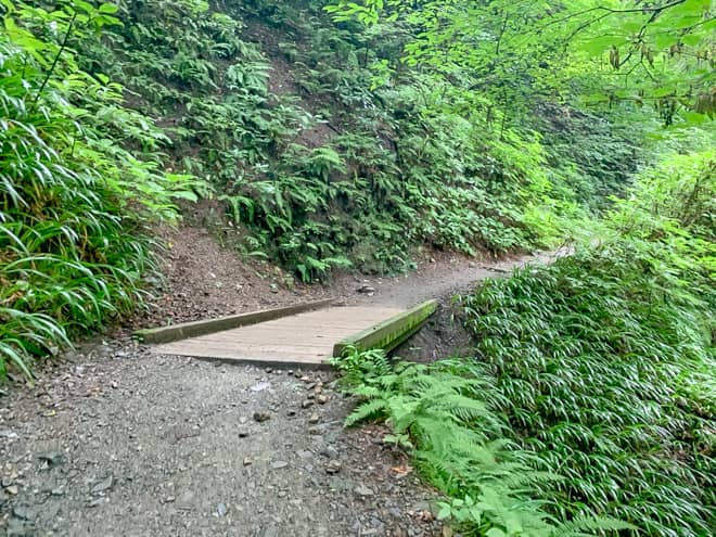 所々に橋があり