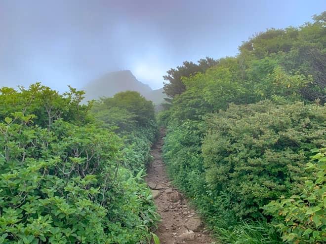 朝日の肩→朝日岳山頂へ