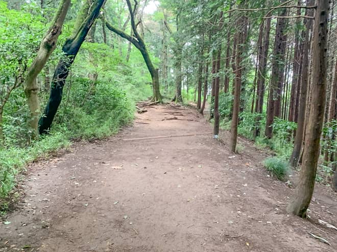 木道の階段を降りきると登山道らしくなります