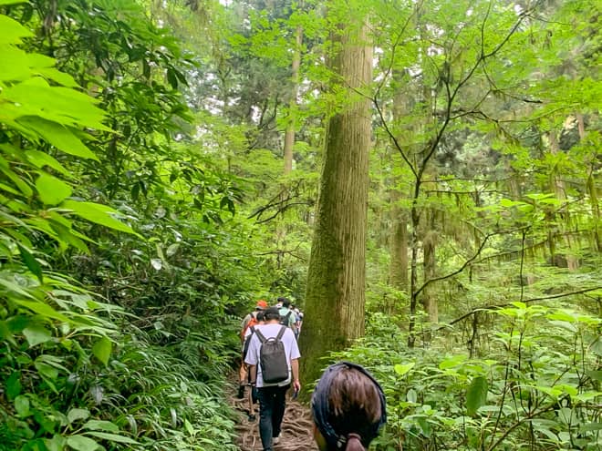 段々と道が狭くなっていくので