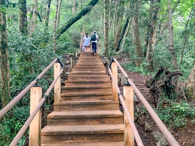 沢を抜けると2021年にリニューアルされた