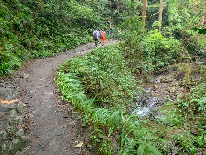 沢沿いを歩くコースは木漏れ日が気持ち良く