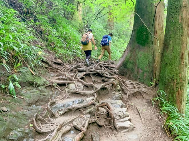 琵琶滝→大山橋