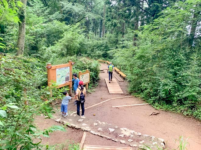 稲荷山コースから下山