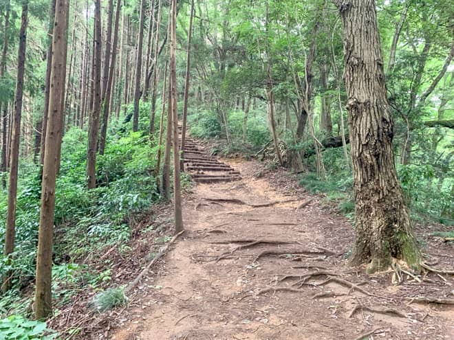 稲荷山コースは名前の通り
