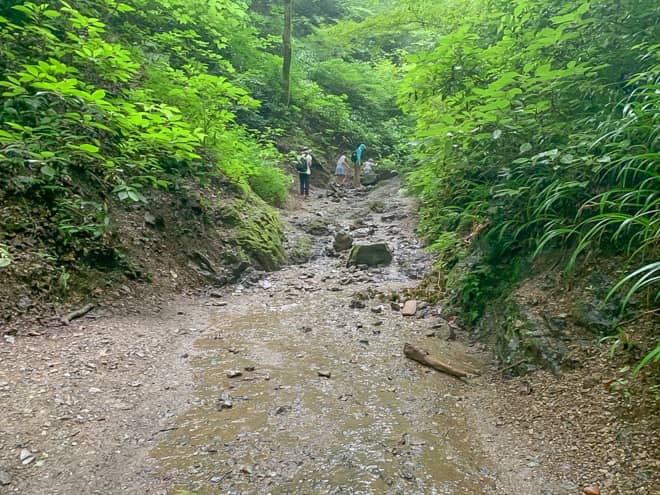 稲荷山コース分岐→5号路交点
