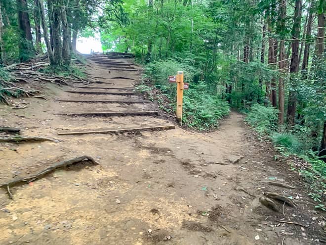 稲荷山山頂には展望台がありますが