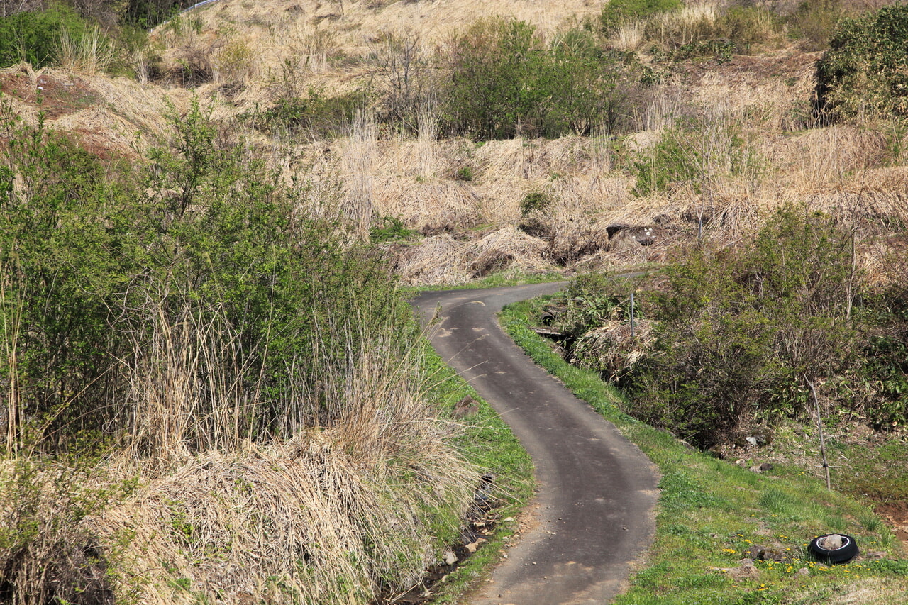 新事業としてキャンプはいかが 法人の遊休地をキャンプ場として活用する Excamp に注目 キャンプクエスト
