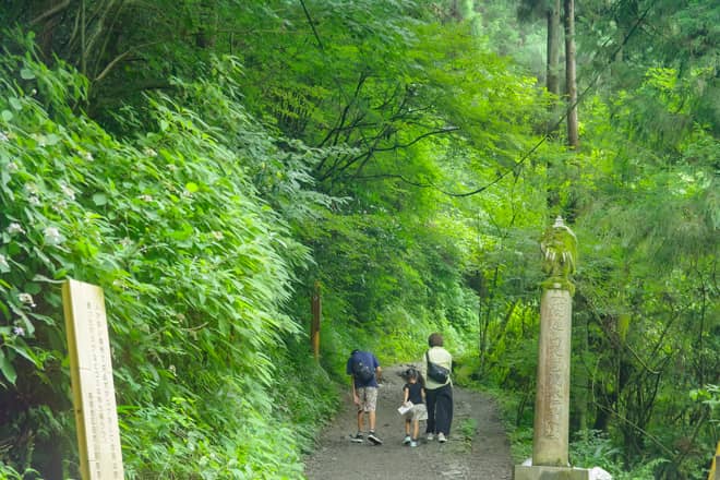 高尾山は上級者から登山未経験者まで