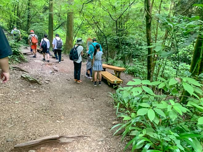 高尾山は登山客が多い人気の山だけあって