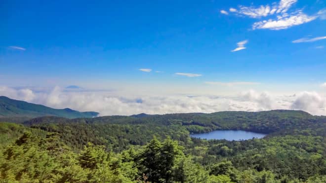 高見石から見える白駒池