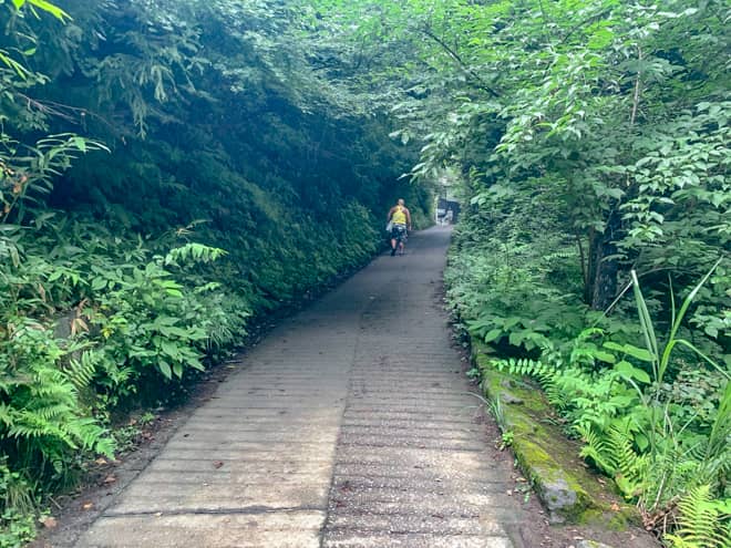 5号路交点→高尾山山頂山頂へ