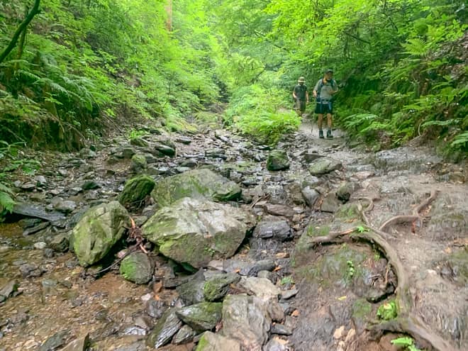 6号路で最も沢登り