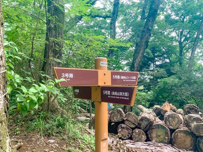 6号路はベンチまでで